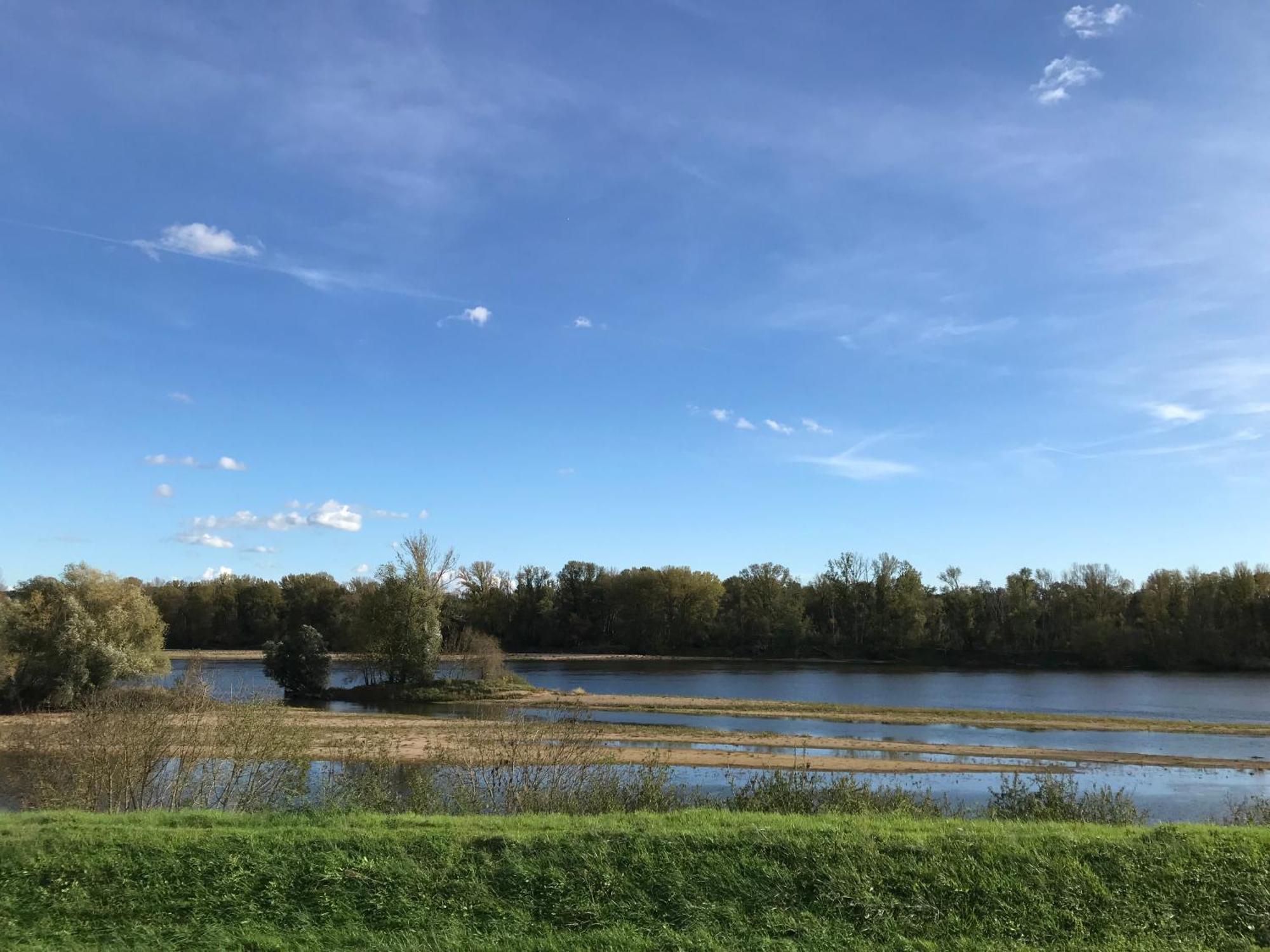 Jacuzzi Et Vue Sur Loire - Maison D'Hotes L'Odyssee La Chapelle-sur-Loire 外观 照片