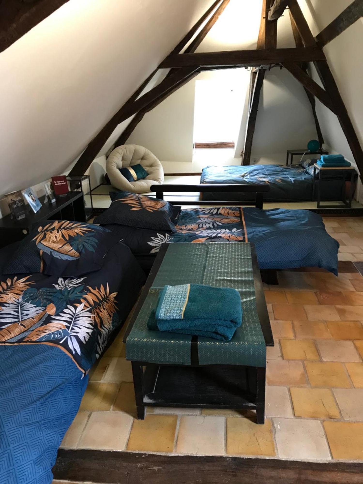 Jacuzzi Et Vue Sur Loire - Maison D'Hotes L'Odyssee La Chapelle-sur-Loire 客房 照片